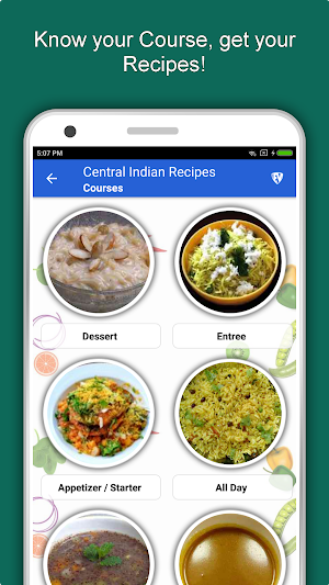 Central Indian Food Recipes Screenshot 2