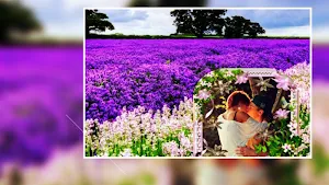 Beautiful Nature Photo Frames Greeting Cards Screenshot 3
