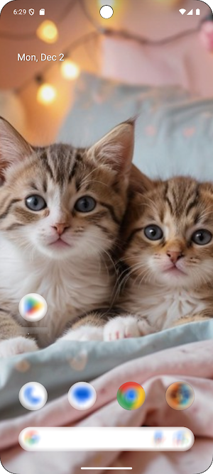 Cats Wallpapers HD Screenshot 1