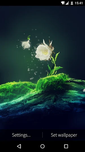 Cactus Flower Live Wallpaper Screenshot 3