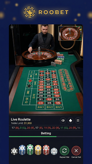 Roobet Screenshot 3