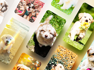 Puppy aesthetic wallpapers Screenshot 0