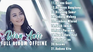 Dian Anic Lagu Tarling Screenshot 2