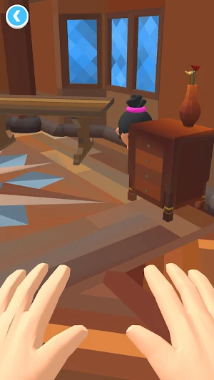 Hide N' Seek 3D Screenshot 1