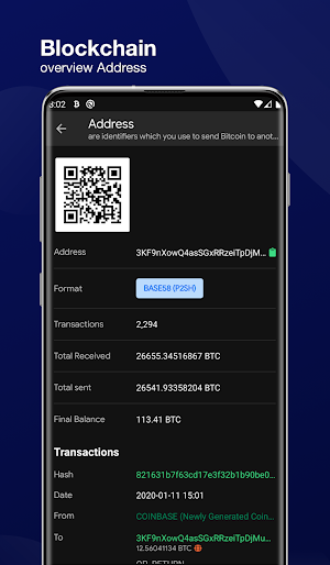 Blockchain Dashboard Screenshot 3
