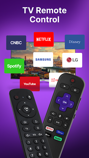 Roku Tv Remote Control Screenshot 0