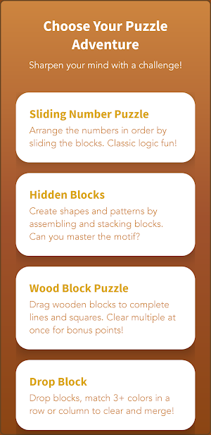 Slide Block: Puzzle Master Screenshot 1