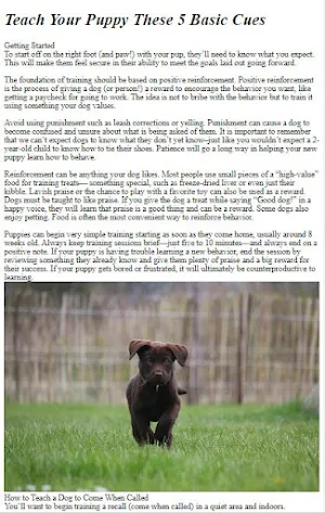 Dog Trainning Guide Screenshot 3