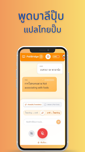 PaliBridge Screenshot 2
