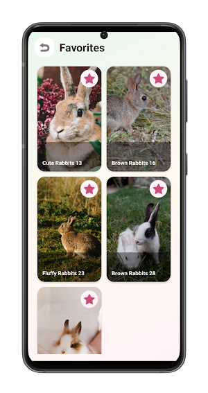 Cute Rabbit Wallpapers Screenshot 2