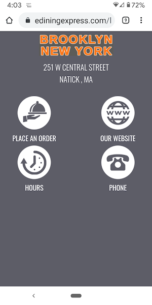 Brooklyn NY Pizza Screenshot 0