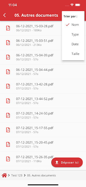 GLOBAL 974 Screenshot 2