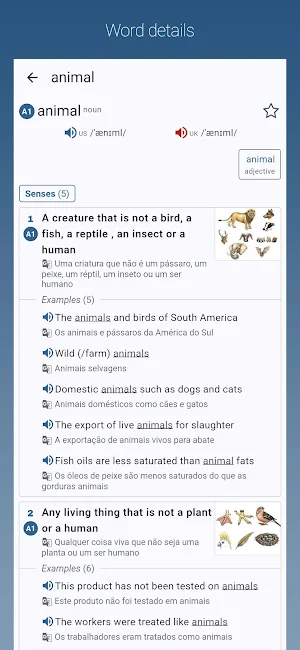 Dicionário Inglês-Português Screenshot 0