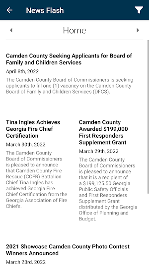 Camden County GA Screenshot 2