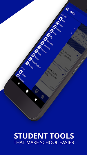 The Lillian Weber School Screenshot 1