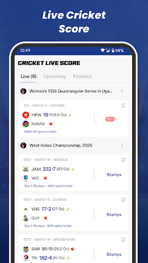 Live Cricket Score Screenshot 2