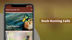 Duck Sounds Screenshot 0