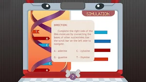 DNA Structure Screenshot 2