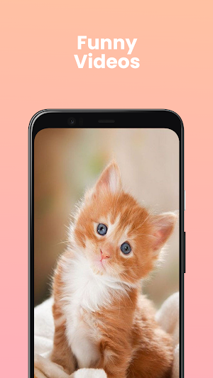 Daily Cat Screenshot 2
