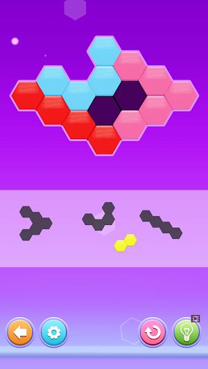 Hexa Puzzle: Block Hex Sorting Screenshot 1