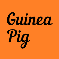 Guinea Pig - モルモット