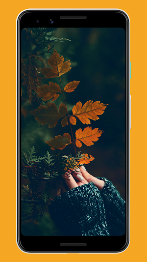 Fall Wallpapers & Backgrounds Screenshot 3