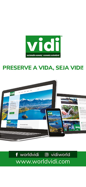 VIDI Screenshot 3