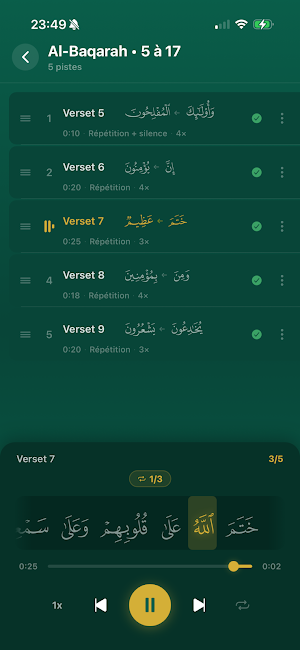 AyaFrame Screenshot 2