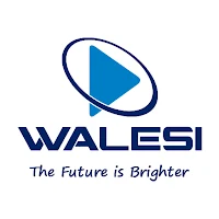 Walesi TV