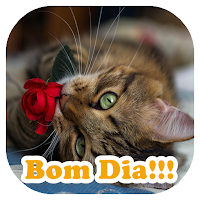Imagens de Bom Dia