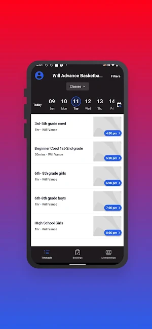 Will Advance Basketball Screenshot 2