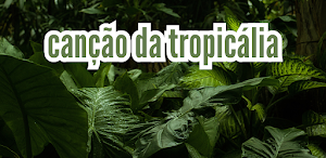 canção da tropicália Screenshot 0