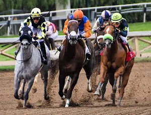 Horse notification sounds screenshot 1
