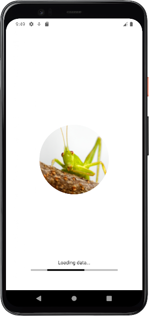 Katydid Sounds Screenshot 0