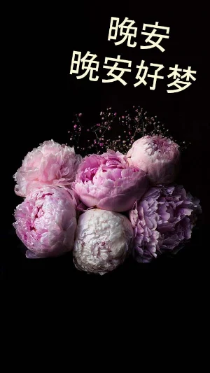 晚安 GIF 2023 Screenshot 0