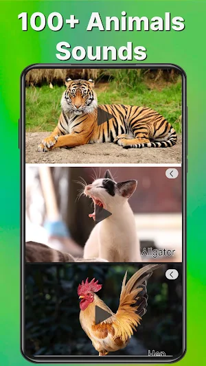 Animal & Bird Sounds Ringtones Screenshot 0