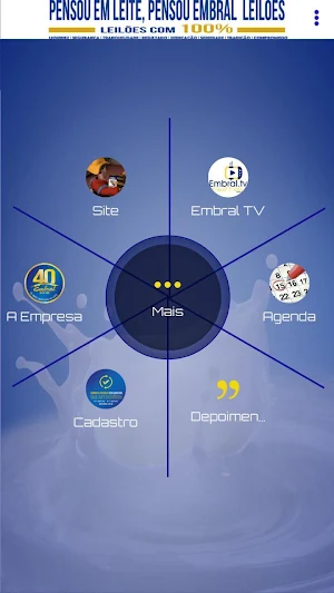 Embral Leiloes Screenshot 1
