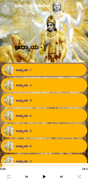Bhagavad Gita Audio In Kannada Screenshot 1