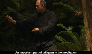 Yang Tai Chi for Beginners 2&3 Screenshot 2