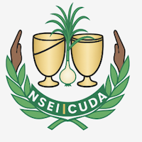 NSEI