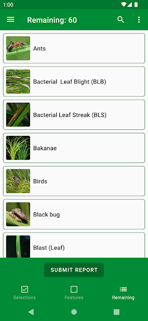 Rice Doctor Assam EN Screenshot 2