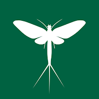 SnapHatch - Fly Fishing Guide