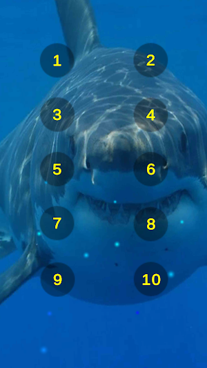 Great White Shark Soundboard Screenshot 0