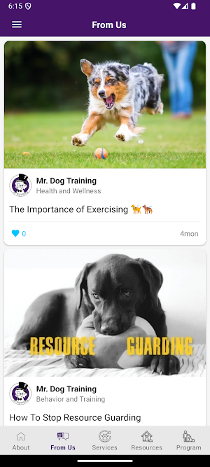 Mr. Dog Training Screenshot 2