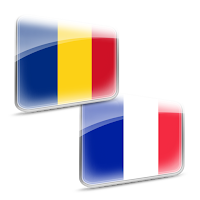 Dictionar Roman Francez