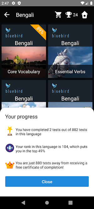 Bengali Language Tests Screenshot 2
