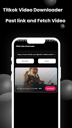 Tiktok Video Downloader Screenshot 1
