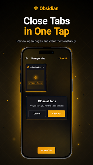 Obsidian: Private Browser Screenshot 2