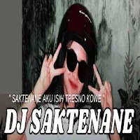 DJ Saktenane