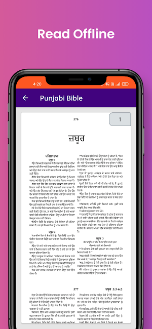 Punjabi Bible Offline Screenshot 2